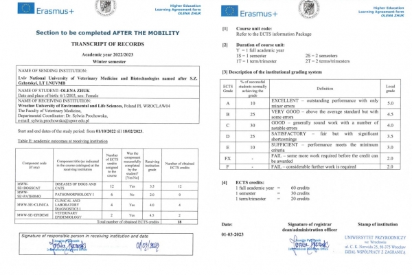 screenshot-4EDFBC4D5-35A0-9EFA-8FB5-DA2A449E068A.jpg
