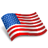 Flag of USA1
