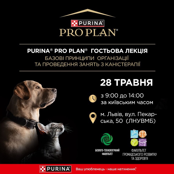 зображення viber 2024 05 20 16 11 01 292