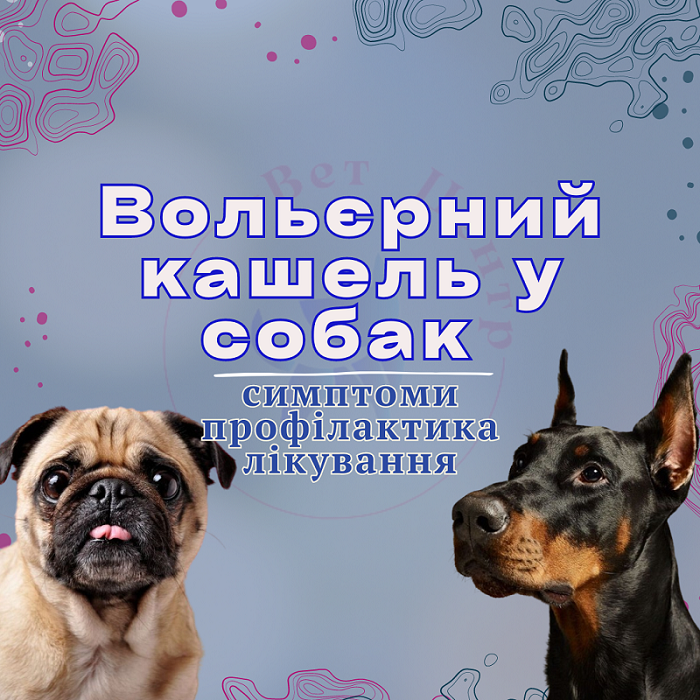 вецентр дописи 3