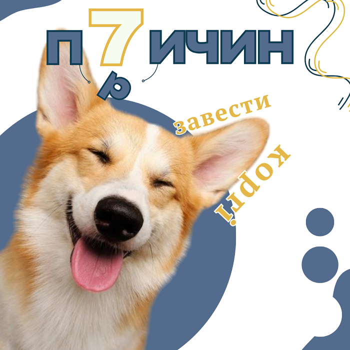Коргі