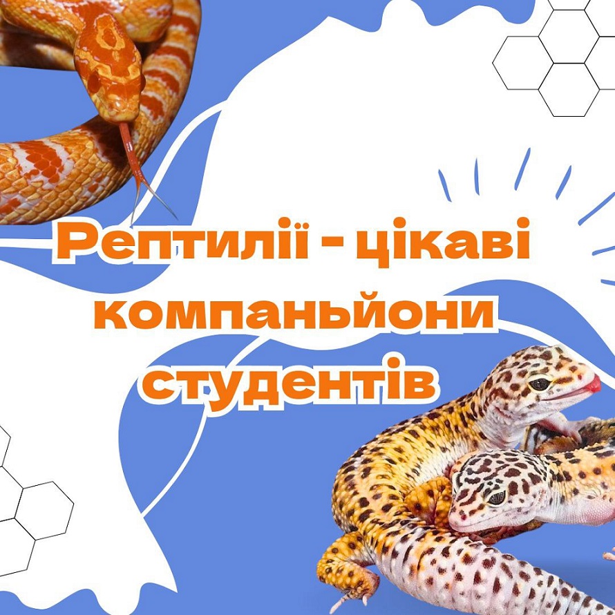 Плазуни 1