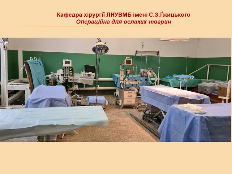 Слайд12