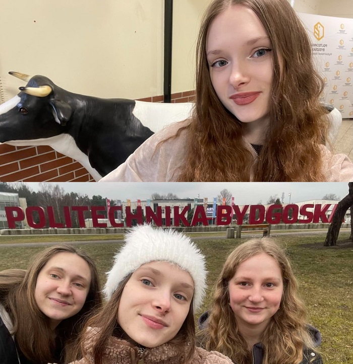 MyCollages 1