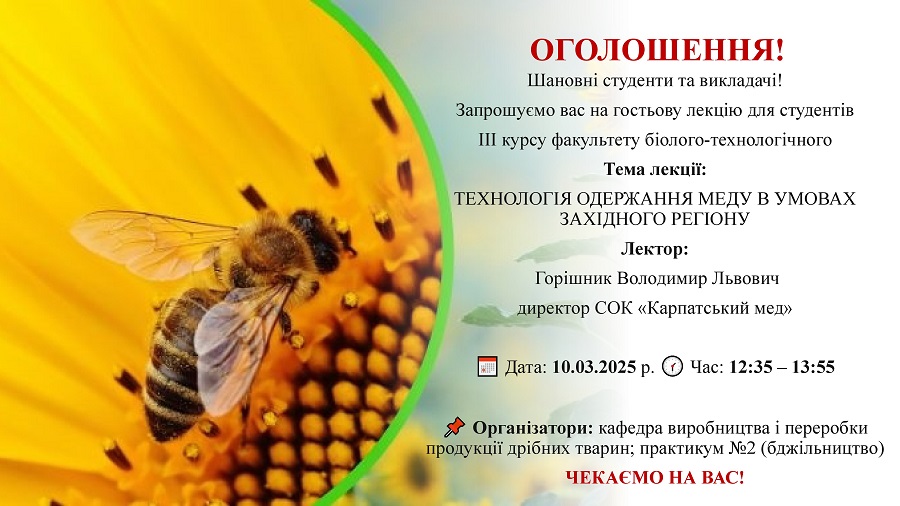 Оголошення