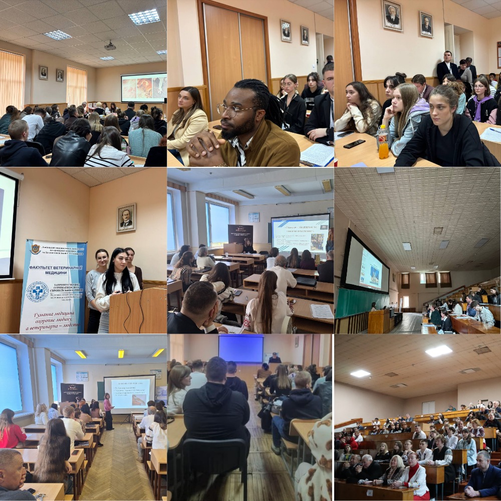 MyCollages 19