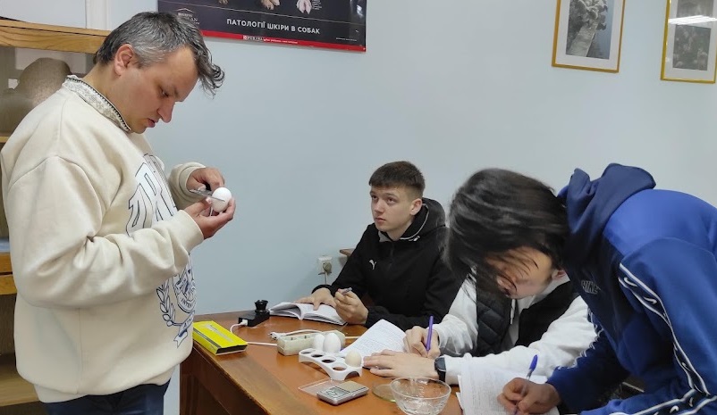 IMG 20250514 110515