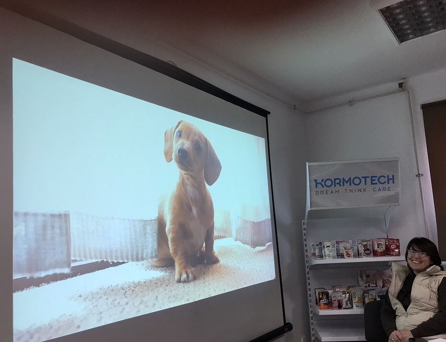 зображення viber 2025 10 09 13 07 15 484