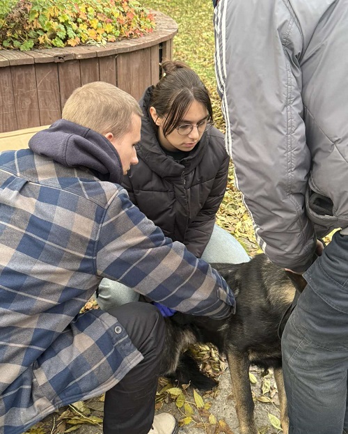 зображення viber 2025 10 30 17 39 57 256