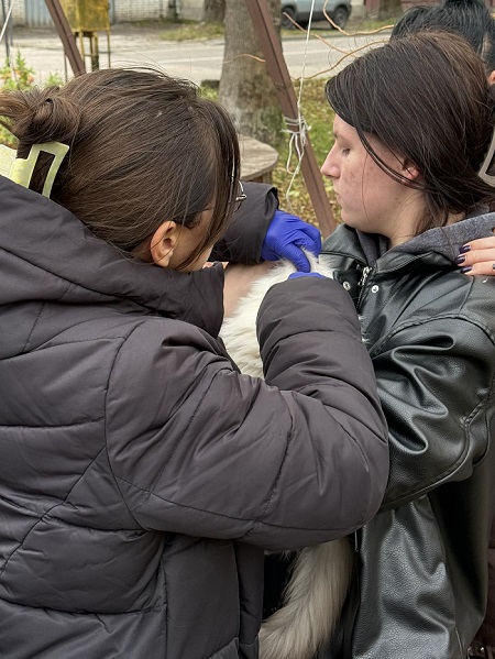 зображення viber 2025 10 30 17 39 57 443