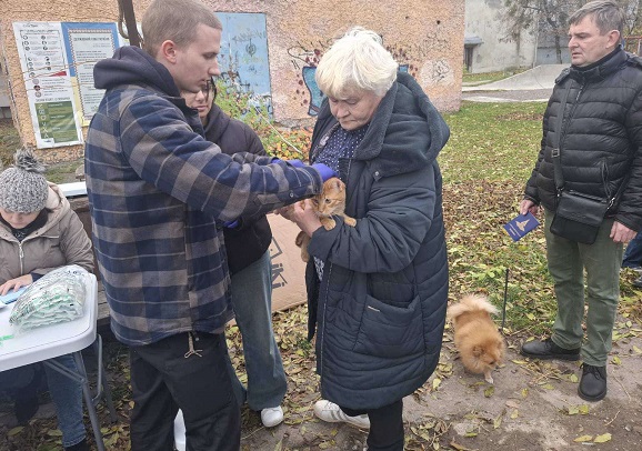 зображення viber 2025 10 30 20 45 50 525