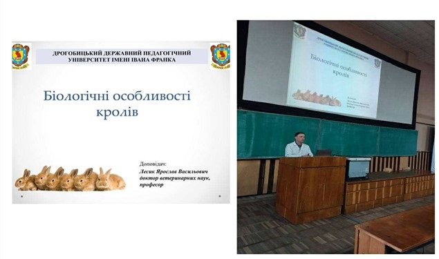 Зображення1