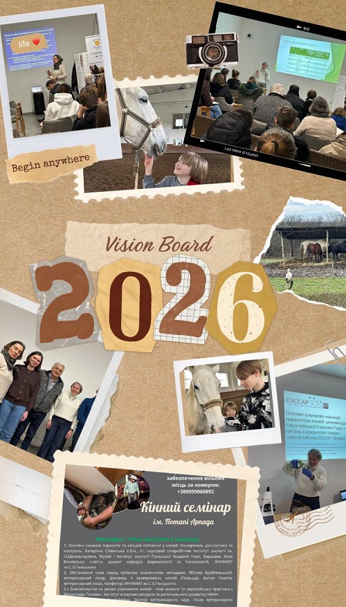 Виноградів 1